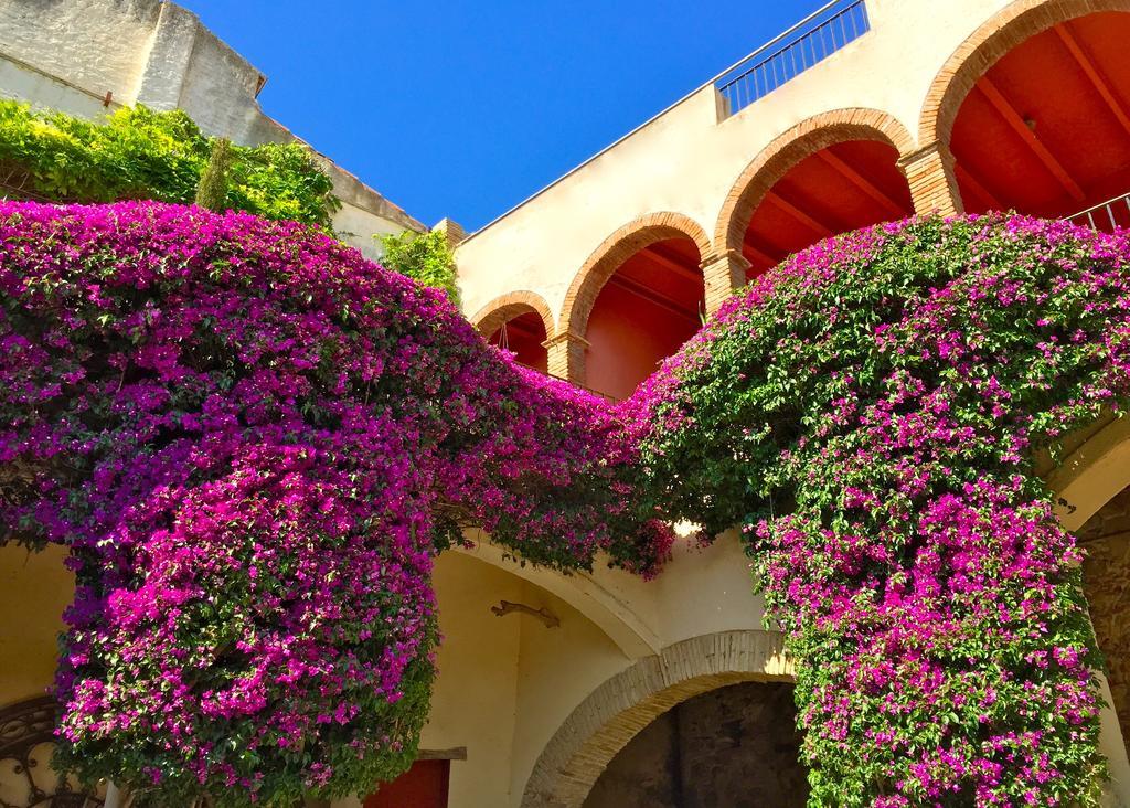 Apartaments Can Gibert Castello  D'Empuries Exteriör bild