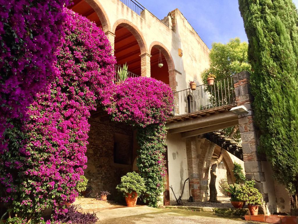 Apartaments Can Gibert Castello  D'Empuries Exteriör bild